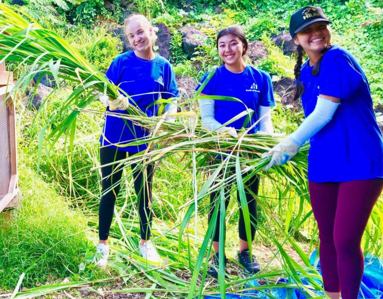 Makiki Volunteer Work Day