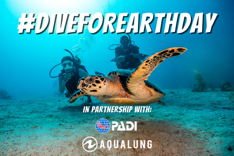 #DiveForEarthDay with Lahaina Divers