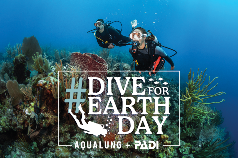 #DiveForEarthDay with Nudi Wear