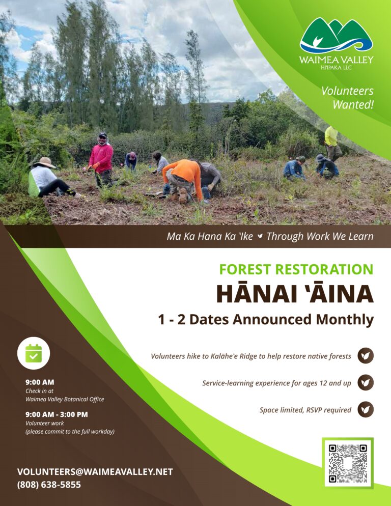 Hānai ‘āina Conservation Workday: Forest Restoration