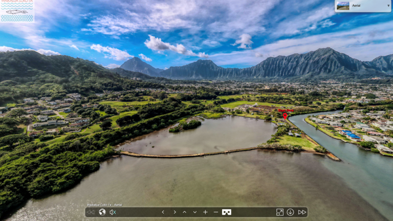 Waikalua Loko fishpond stewardship