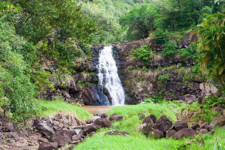 Hiʻipaka LLC, Waimea Valley