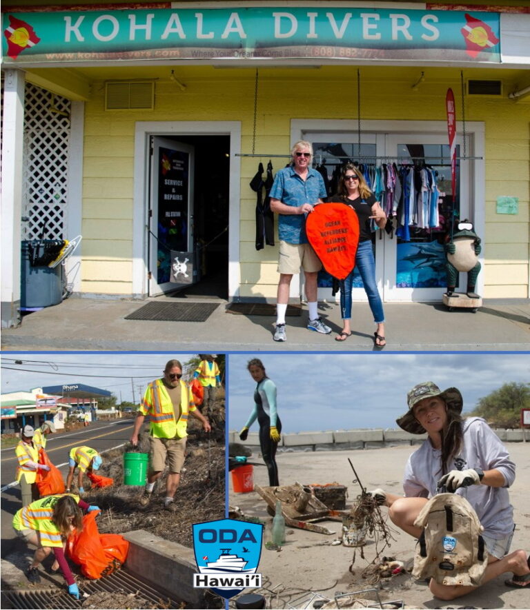 Earth Day Celebration: Adopt-A-Highway & Adopt the Blue Kawaihae Surf Park Clean-Ups