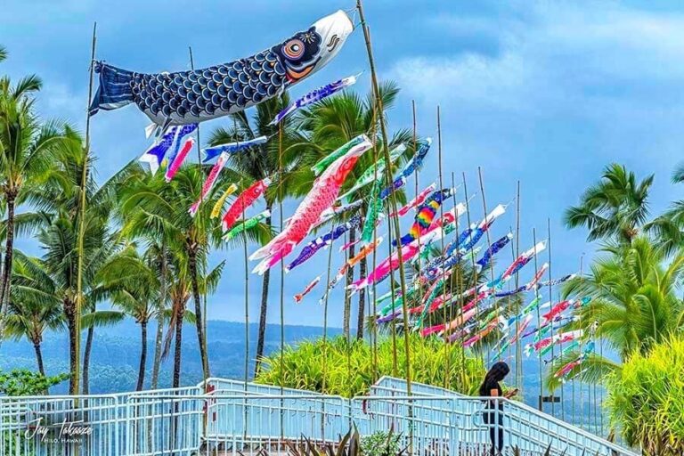 Install koinobori for Children’s Day