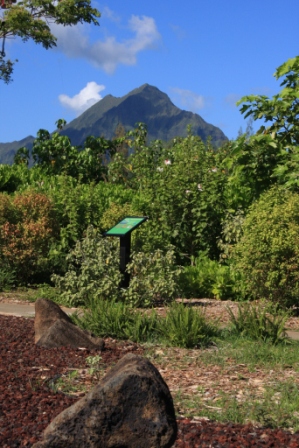 Kaha Native Plant Garden