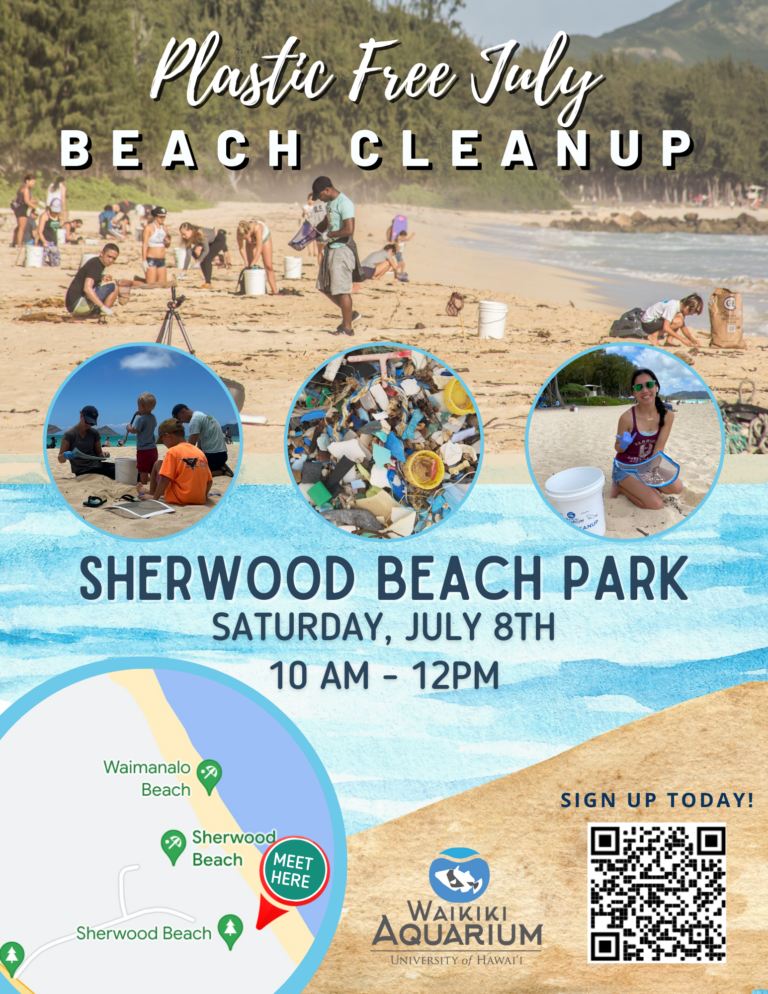 Plastic Free July Beach Cleanup Participant – Sherwood Beach