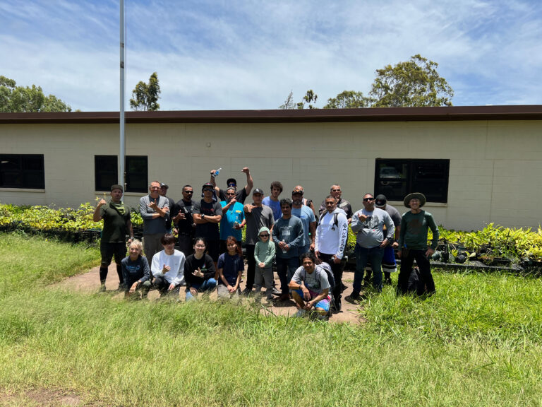 Eco Restoration at Palehua