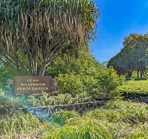 Lēʻahi Millenium Peace Garden Work Day