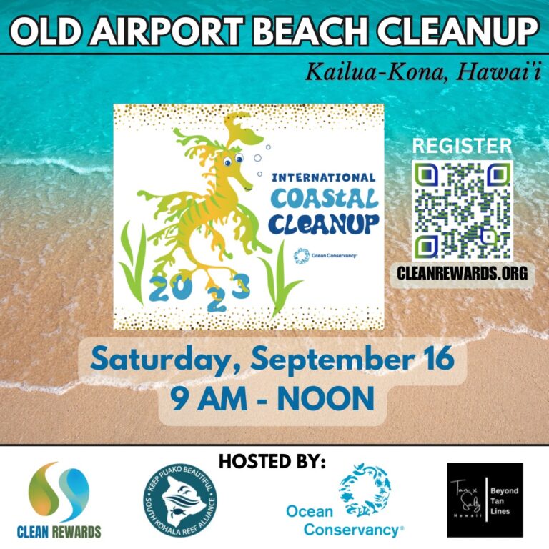 Beach Clean Up Volunteer