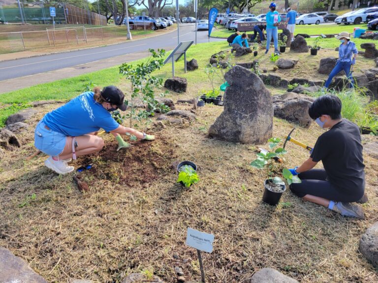 Volunteer to be a Rain Garden Steward!