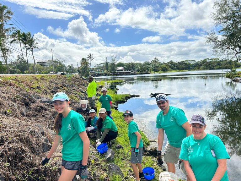 Wetland Restoration in Hilo