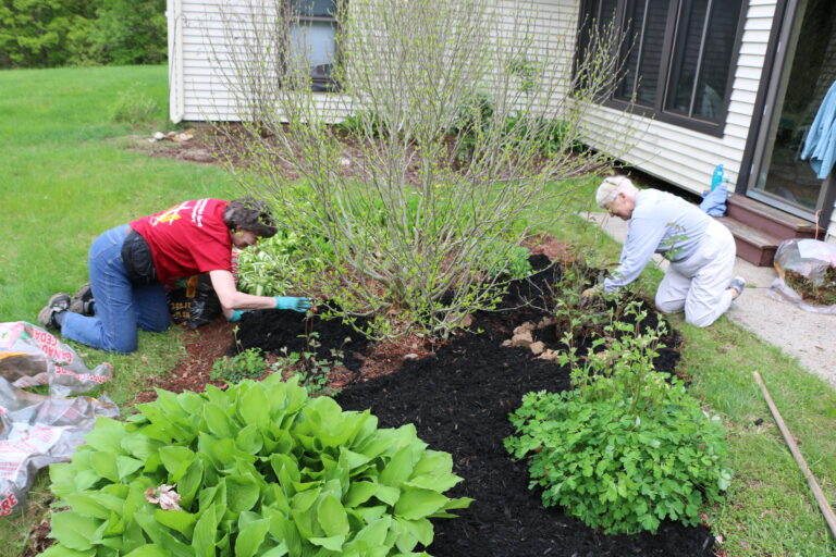 Hanapepe Landscaper