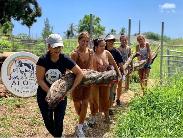 Aloha Animal Sanctuary Carpentry, Handyman, Skilled Labor