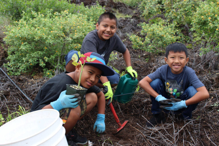 Mālama ‘Āina – Volunteer