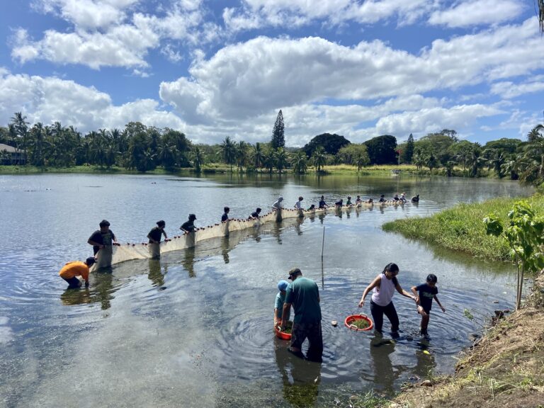 Loko Ea Fishpond Community Work Day