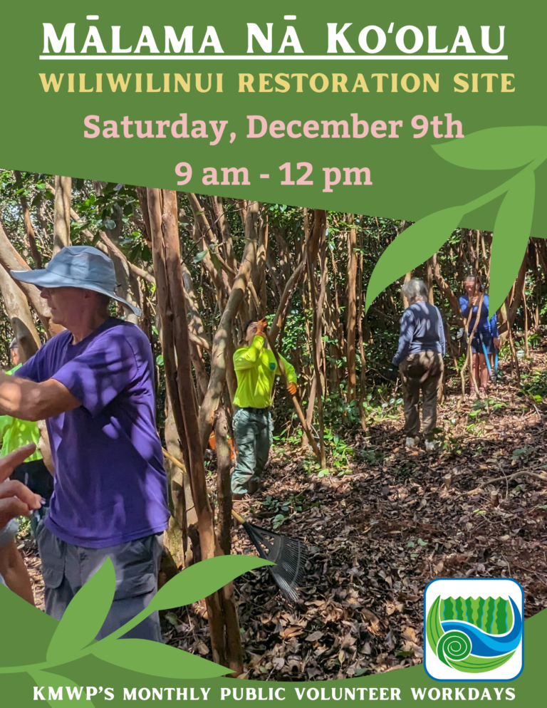 Mālama Nā Ko’olau: December Volunteer Day