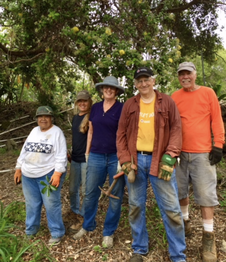 Volunteer Workday at the Garden