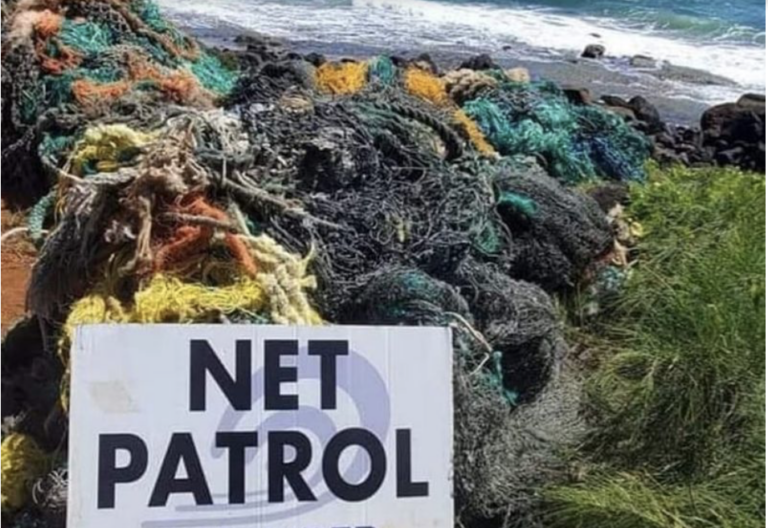 Net Patrol – Coastal Cleanup