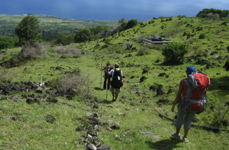 Volunteer with The Sierra Club