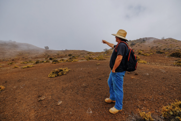 Volunteer with Uluhaʻo‎‎‎ ‎o Hualalai