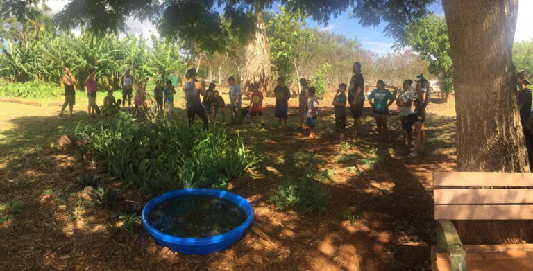 Seed of Love: Molokai family farm volunteer opportunity