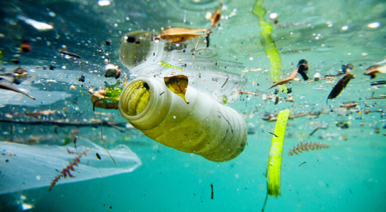 Coastal Marine Debris Monitoring Program