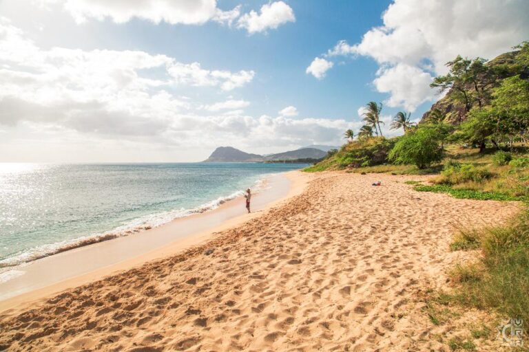 Tracks Beach Clean Up in Nanakuli