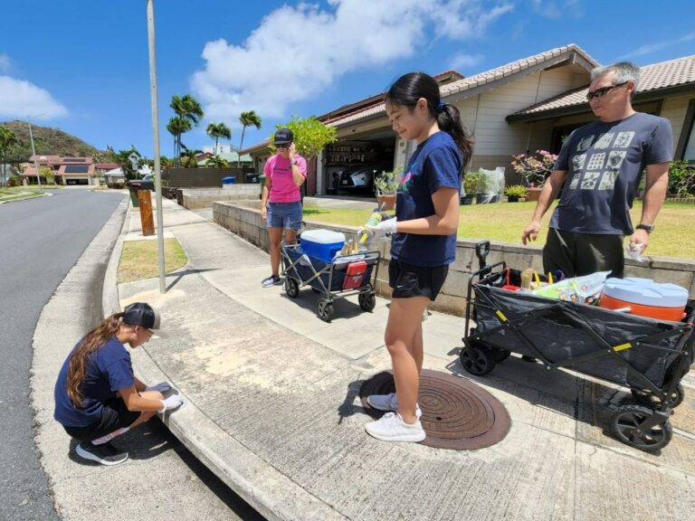 Storm Drain markers