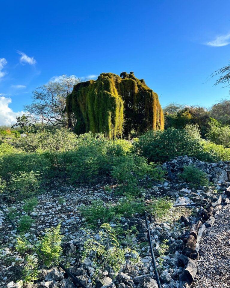 Kalaeloa Heritage Park