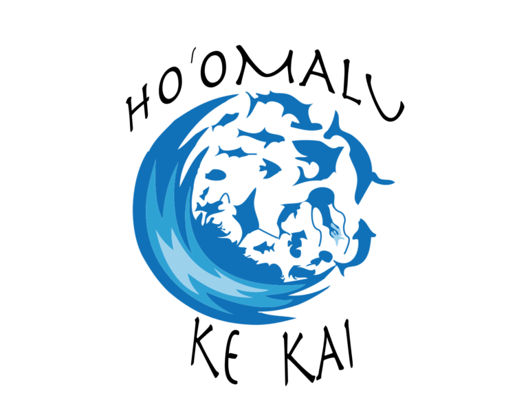 Volunteer with Hoʻomalu Ke Kai.