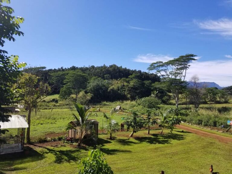 Kauai Animal Education Farm