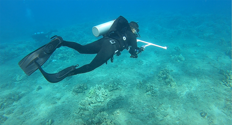 Maui Nui Marine Resource Council