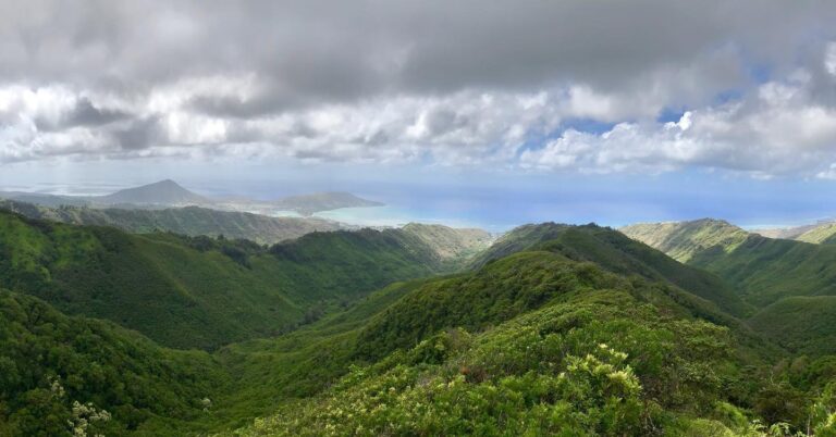 Protect & Preserve Hawai’i