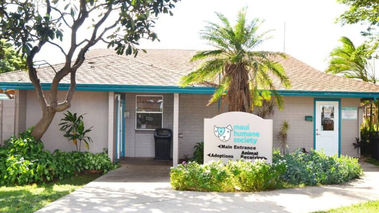 Maui Humane Society