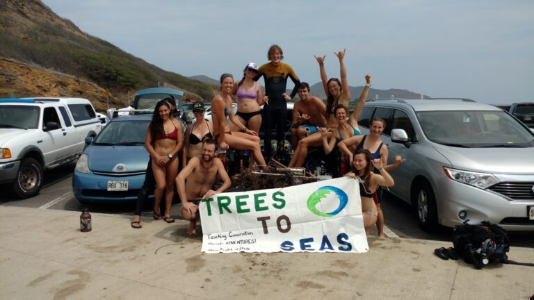 Trees To Seas