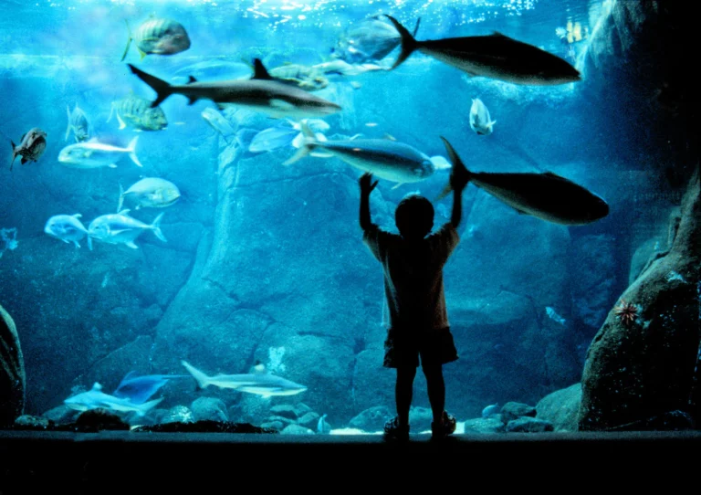 Waikīkī Aquarium