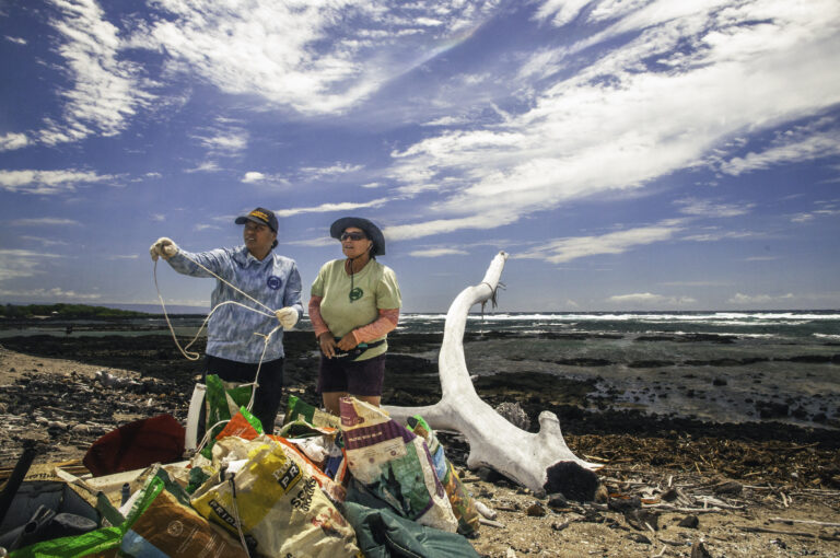 Hawaiʻi Island Volunteer Opportunities w/ Hawai‘i Wildlife Fund