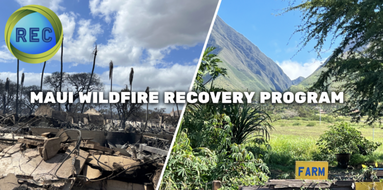 Help Support Maui’s Recovery