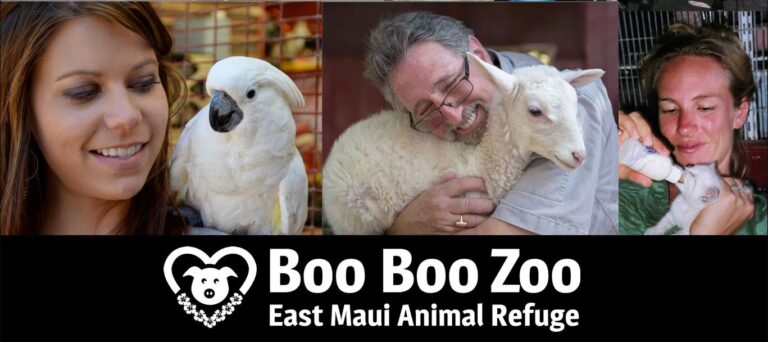 East Maui Animal Refuge aka The Boo Boo Zoo