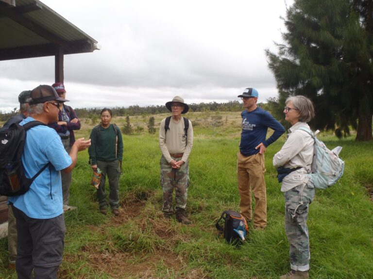 Hawaiian Reforestation Program