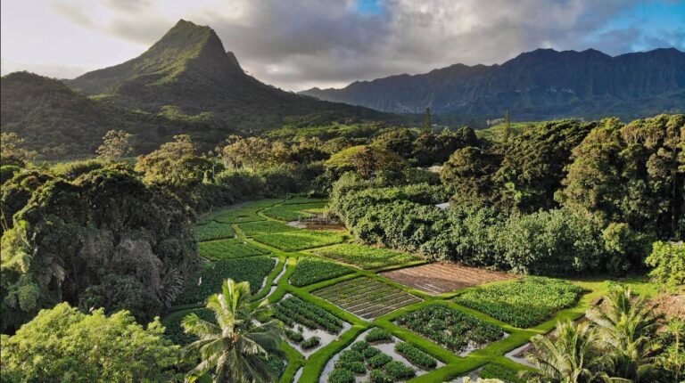 Hoʻokuaʻāina