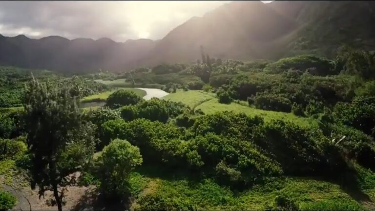 Hawaii Green Growth