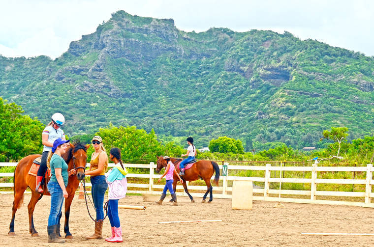 Healing Horses Kauai