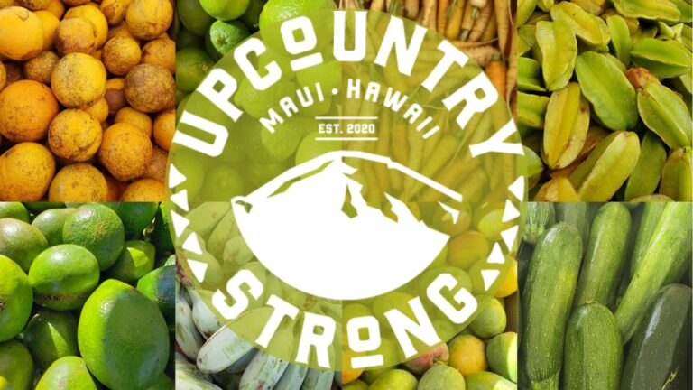 Upcountry Strong Food Distribution