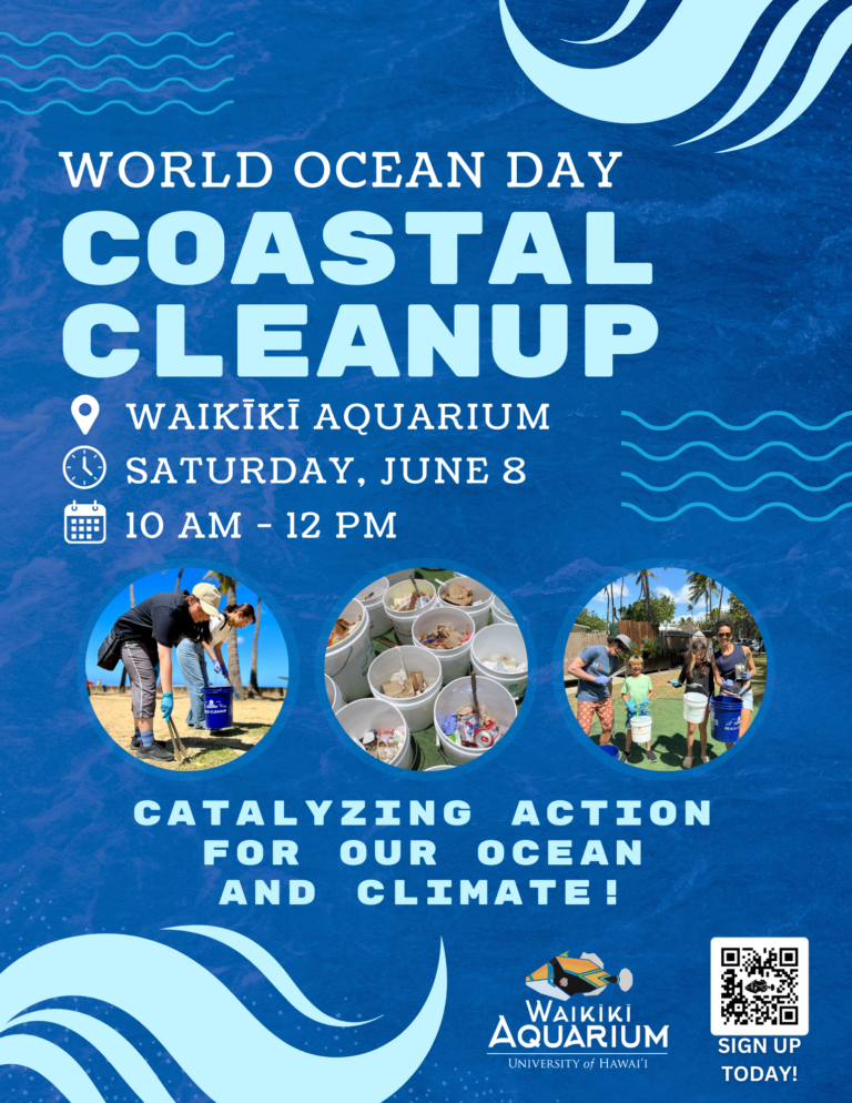 Waikīkī Aquariumʻs Coastal Cleanup