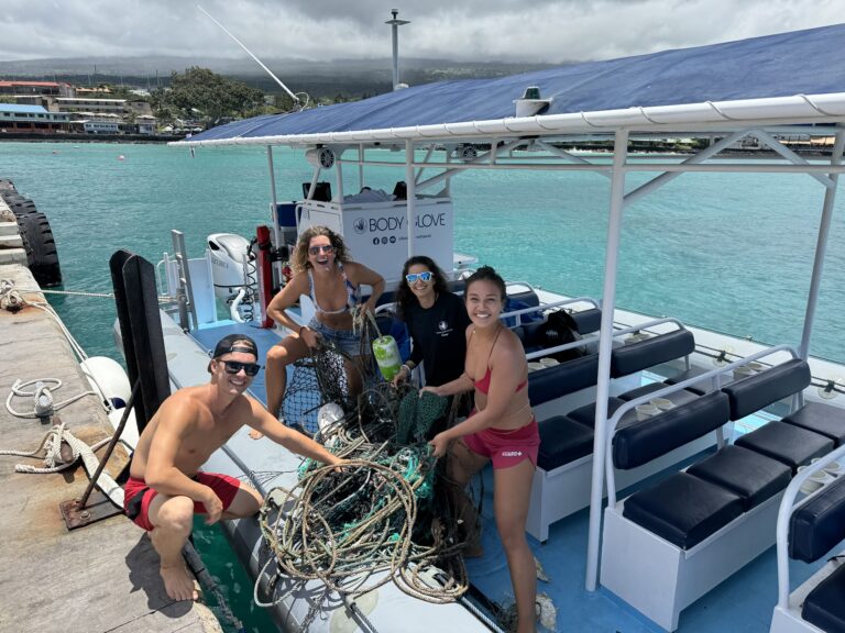 Snorkel & Ocean Debris Cleanup Tour