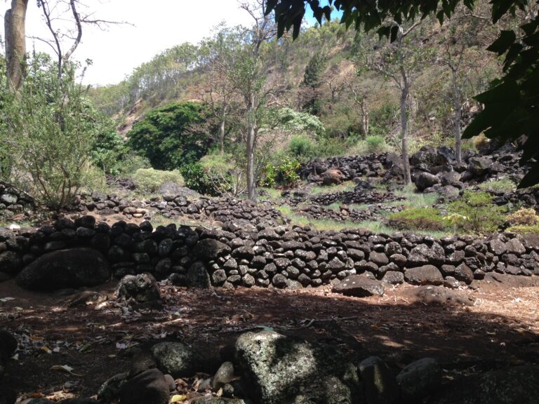 Maui Cultural Lands