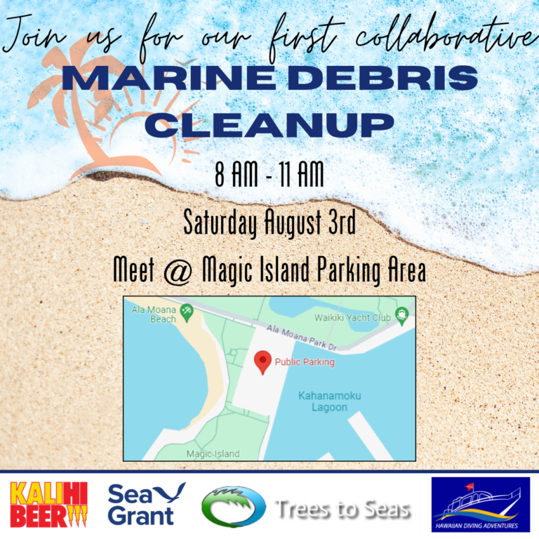 Magic Island Marine Debris Cleanup