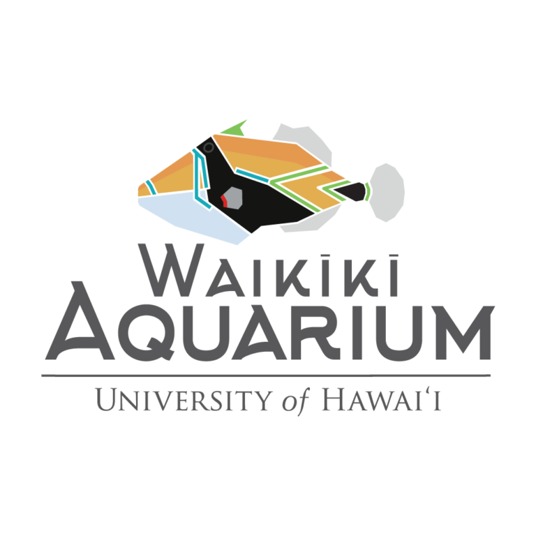 Waikīkī Aquarium Plastic Free July Beach Cleanup at Sherwood Beach