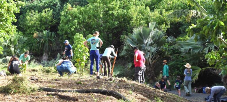 Habitat Restoration and Stewardship of wetland and endemic forest species (4PM-6PM)